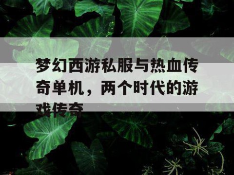 梦幻西游私服与热血传奇单机，两个时代的游戏传奇