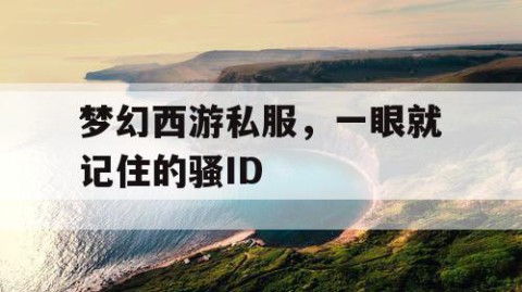 梦幻西游私服，一眼就记住的骚ID