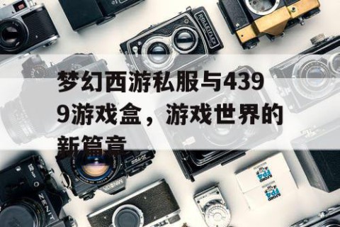 梦幻西游私服与4399游戏盒，游戏世界的新篇章