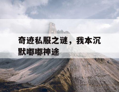 奇迹私服之谜，我本沉默嘟嘟神途