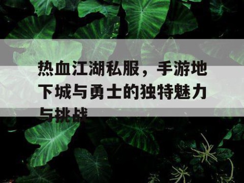热血江湖私服，手游地下城与勇士的独特魅力与挑战
