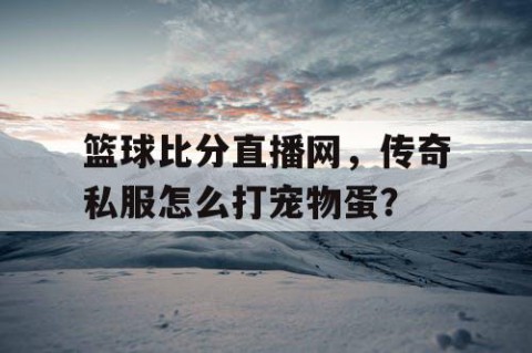 篮球比分直播网，传奇私服怎么打宠物蛋？