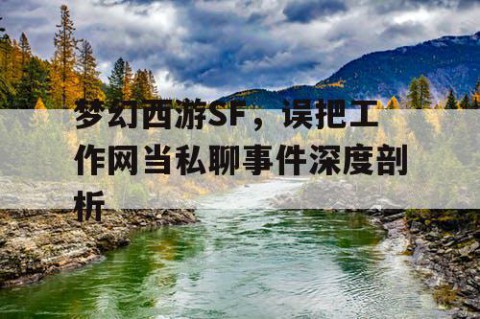 梦幻西游SF，误把工作网当私聊事件深度剖析