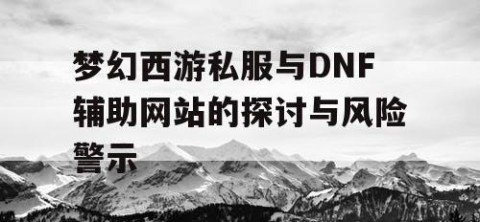 梦幻西游私服与DNF辅助网站的探讨与风险警示