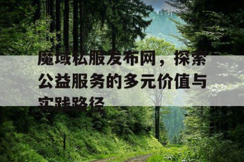 魔域私服发布网，探索公益服务的多元价值与实践路径