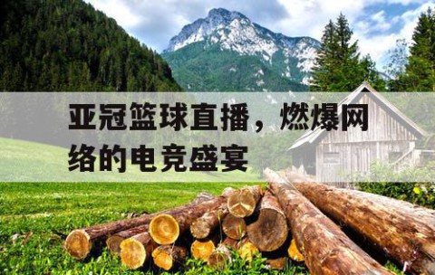 亚冠篮球直播,燃爆网络的电竞盛宴