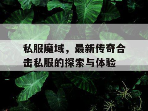 私服魔域，最新传奇合击私服的探索与体验