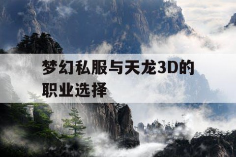 梦幻私服与天龙3D的职业选择
