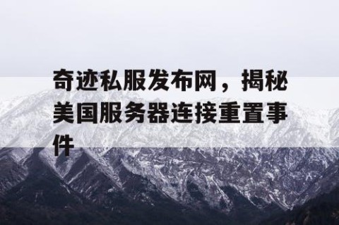 奇迹私服发布网，揭秘美国服务器连接重置事件