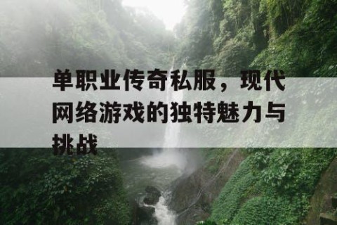 单职业传奇私服，现代网络游戏的独特魅力与挑战