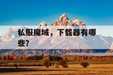私服魔域，下载器有哪些？