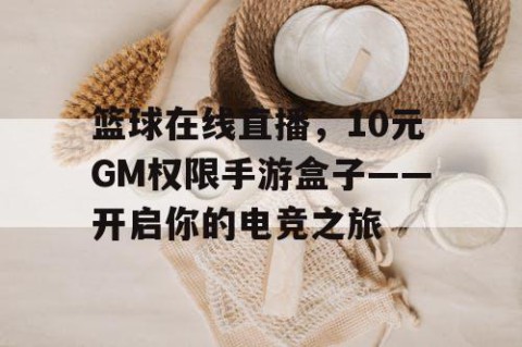 篮球在线直播,10元GM权限手游盒子——开启你的电竞之旅