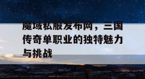 魔域私服发布网，三国传奇单职业的独特魅力与挑战