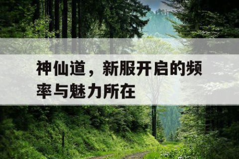 神仙道，新服开启的频率与魅力所在