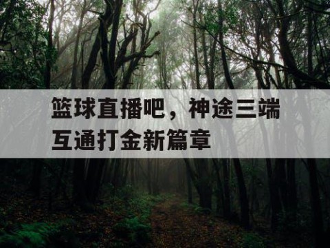 篮球直播吧,神途三端互通打金新篇章