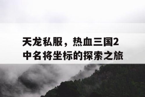 天龙私服，热血三国2中名将坐标的探索之旅