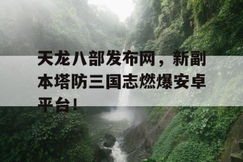 天龙八部发布网，新副本塔防三国志燃爆安卓平台！