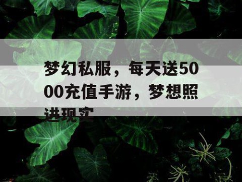 梦幻私服，每天送5000充值手游，梦想照进现实
