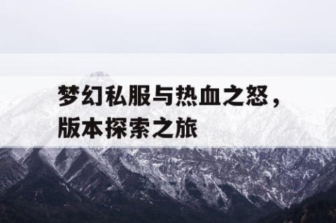 梦幻私服与热血之怒，版本探索之旅