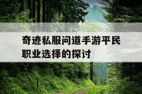 奇迹私服问道手游平民职业选择的探讨