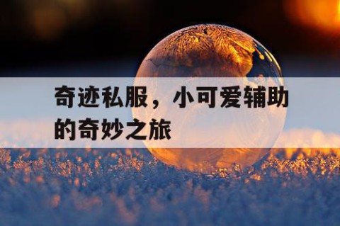 奇迹私服，小可爱辅助的奇妙之旅