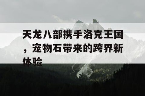 天龙八部携手洛克王国，宠物石带来的跨界新体验