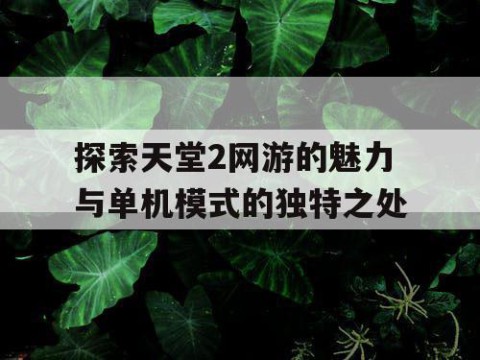 探索天堂2网游的魅力与单机模式的独特之处