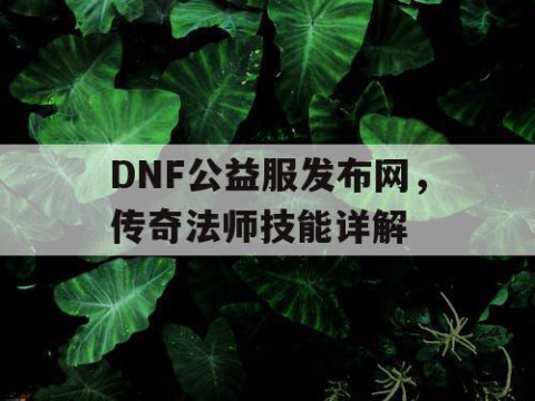 DNF公益服发布网，传奇法师技能详解