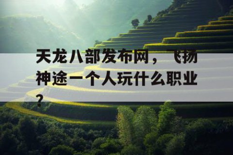 天龙八部发布网，飞扬神途一个人玩什么职业？
