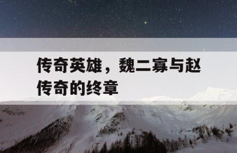 传奇英雄，魏二寡与赵传奇的终章