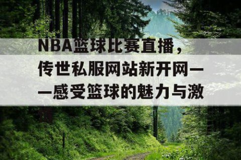 NBA篮球比赛直播,传世私服网站新开网——感受篮球的魅力与激情