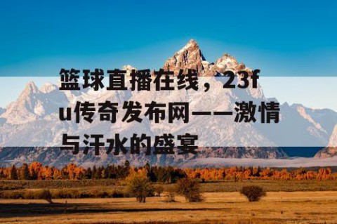篮球直播在线，23fu传奇发布网——激情与汗水的盛宴