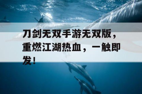 刀剑无双手游无双版，重燃江湖热血，一触即发！