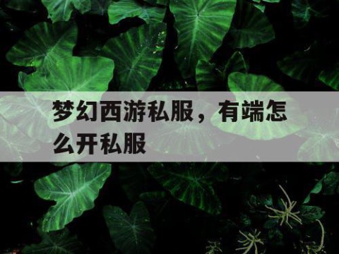 梦幻西游私服，有端怎么开私服
