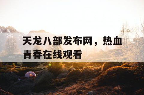 天龙八部发布网，热血青春在线观看