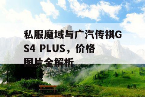 私服魔域与广汽传祺GS4 PLUS，价格图片全解析