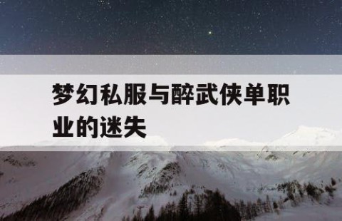 梦幻私服与醉武侠单职业的迷失