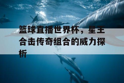 篮球直播世界杯,星王合击传奇组合的威力探析