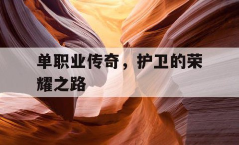 单职业传奇，护卫的荣耀之路