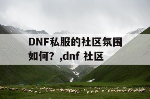 DNF私服的社区氛围如何？,dnf 社区