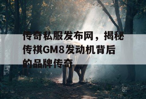 传奇私服发布网，揭秘传祺GM8发动机背后的品牌传奇