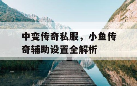 中变传奇私服，小鱼传奇辅助设置全解析