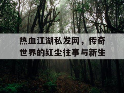 热血江湖私发网，传奇世界的红尘往事与新生