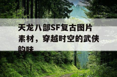 天龙八部SF复古图片素材，穿越时空的武侠韵味