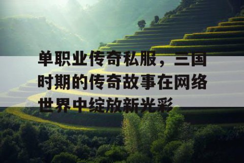 单职业传奇私服，三国时期的传奇故事在网络世界中绽放新光彩