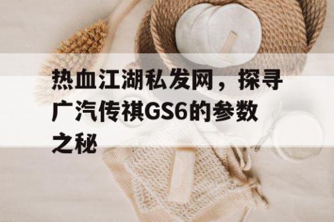 热血江湖私发网，探寻广汽传祺GS6的参数之秘