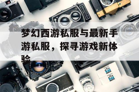 梦幻西游私服与最新手游私服，探寻游戏新体验