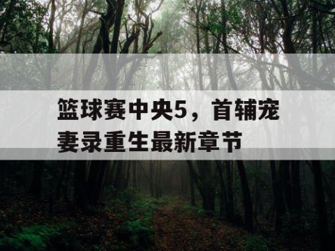 篮球赛中央5,首辅宠妻录重生最新章节