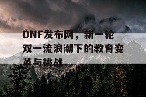 DNF发布网，新一轮双一流浪潮下的教育变革与挑战