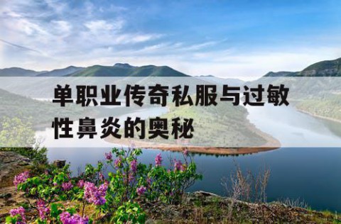 单职业传奇私服与过敏性鼻炎的奥秘